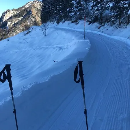 Kreiers Alp Hohenems