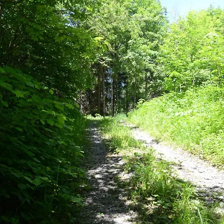 Kreiers Alp Apartment *