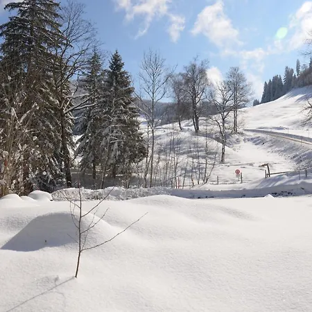 Apartment Kreiers Alp Hohenems