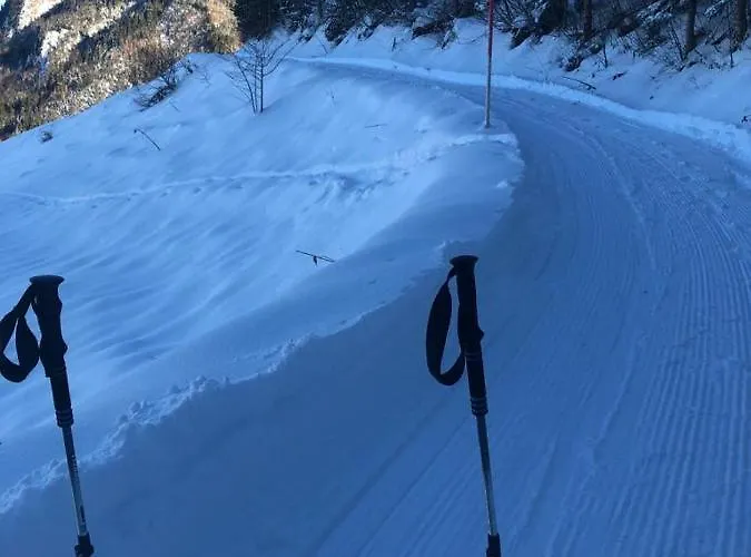 Kreiers Alp Hohenems